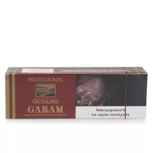 Gudang Garam Importado Cravo