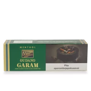 Gudang Garam Importado Menta